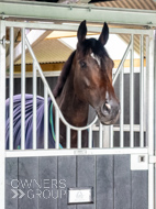 WG031025-73 - Jaramillo